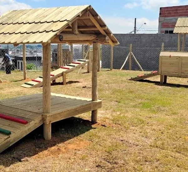 Circuito de agility para cães com obstáculos de madeira tratada